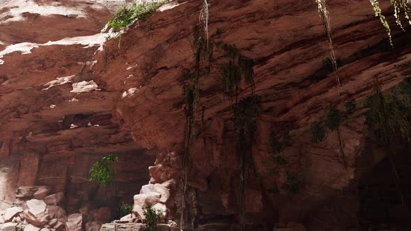 Inside a Limestone Cave with Plants and Sun Shine