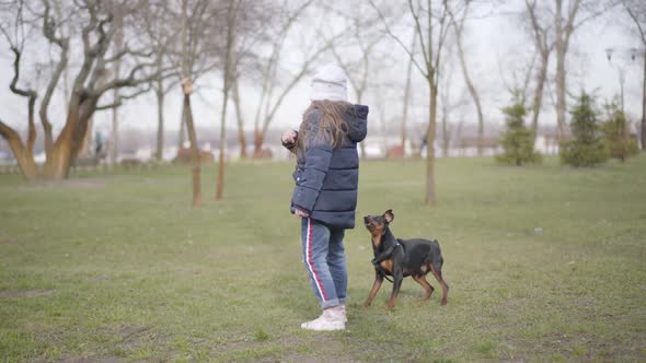 Wide Shot, Small Dog Barking at Little Caucasian Girl in Park. Scared Child Closing Ears with Hands