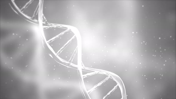 Abstract White DNA 3D Hologram glowing rotating DNA double helix.