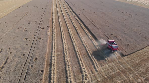 Aerial Shot Showing Harvesting Machine Cutting Down Wheat