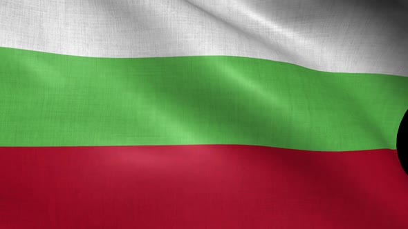 Bulgaria Flag