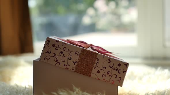 Cute Tabby Kitten Playing In A Gift Box With Christmas Decoration