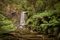 Hopetoun Falls Landscape - PhotoDune Item for Sale