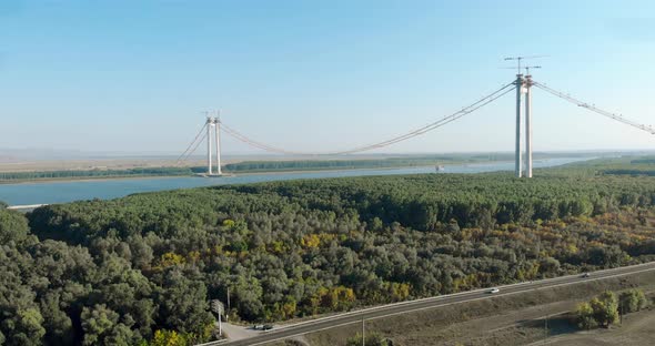 Dense Trees In Forest With Braila Bridge Under Construction