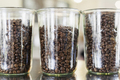 Roasted coffee beans in jars at cafe counter - PhotoDune Item for Sale