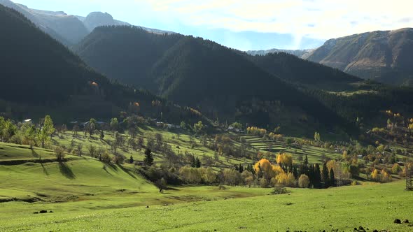 Gorgeous Meadow at the Edge of Forested Mountains