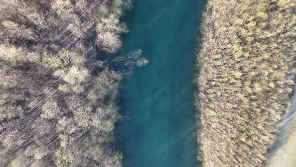 Flying over the river in the spring