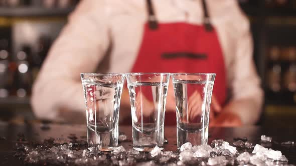 Professional Male Bartender Adding Ice in Alcoholic Drink