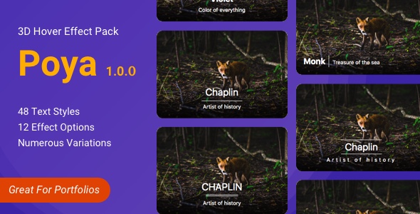 Poya 3d Image Hover Effect | JavaScript, CSS Hover Pack