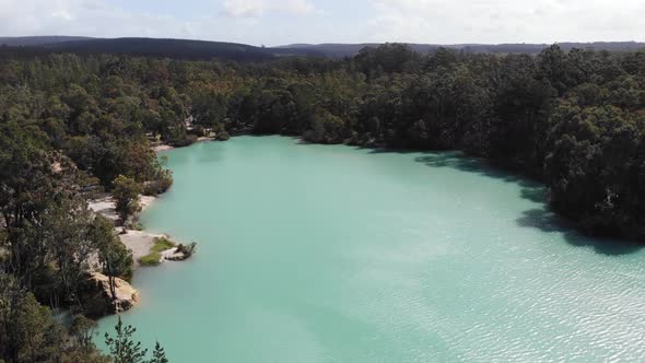 Aerial View of a River Forest