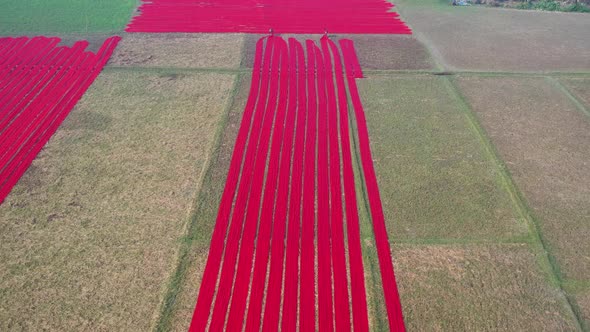 Aerial view of red cotton rolls drying on a field, Dhaka, Bangladesh.