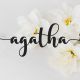 Agatha Script - GraphicRiver Item for Sale