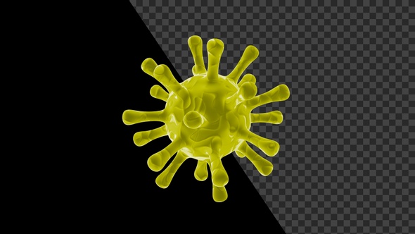 Covid 19 Coronavirus V22