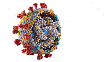 ifically accurate illustration of Covid corona virus cell. 3D render