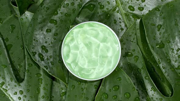 Green Cosmetic Cream with Rotation on Background of Tropical Leaves Monstera