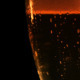 Poured Beer - VideoHive Item for Sale