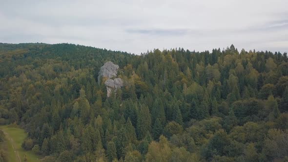 Impressive Drone Shot of the Mountain Hills in Forest. Autumn. Aerial View