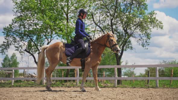 Female Jockey Riding On A Beautiful Golden Horse In The Sandy Arena