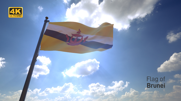 Brunei Flag on a Flagpole V4 - 4K