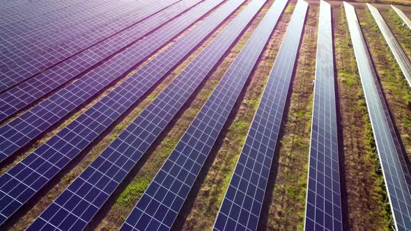 Aerial Drone View Flight Over Solar Power Station Panels