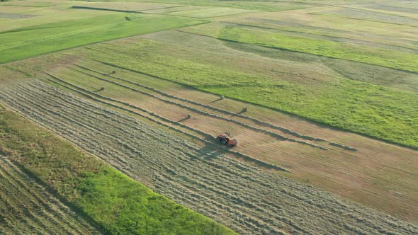 Tractor On The Field