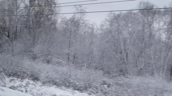 Moving Along Frozen Woods, Winter Cold Countryside Landscape, Snow and Ice. Pov Tracking Shot From