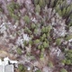 Flight from Edmonton Neighborhood over Ravine - VideoHive Item for Sale