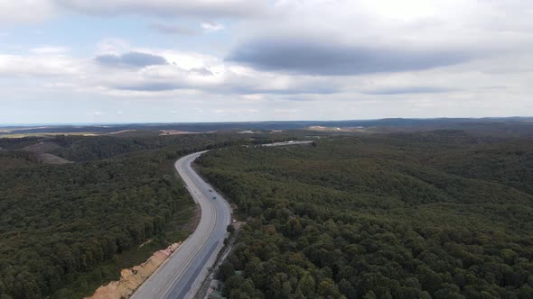 Drone Shot Forest Road