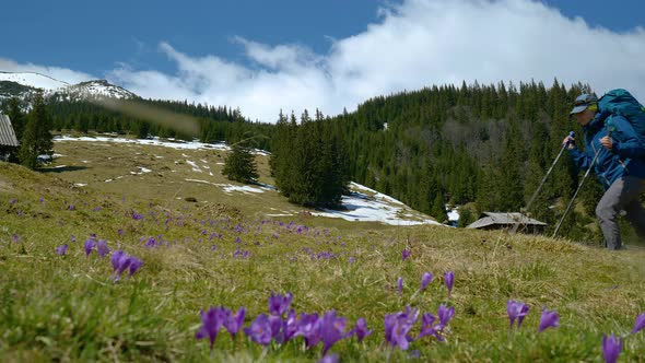 Young Woman with a Backpack Travels in the Mountains