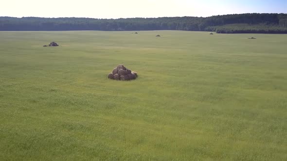 Aerial Motion To Stacked Bales on Grass Field By Forest