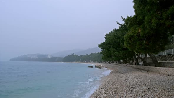 Snow Falling On The Beach On Winter Season