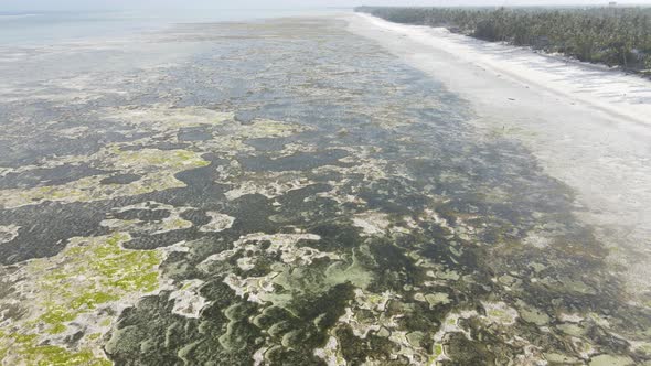 Aerial View of Low Tide in the Ocean Near the Coast of Zanzibar Tanzania Slow Motion