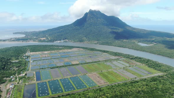 Prawn Fish Farm Aerial