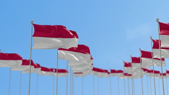 Monaco Row Of Flags Animation