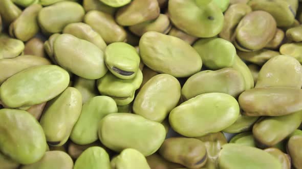 Broad (fava) beans close up. Falling dry legumes in slow motion. Macro