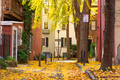 Autumn alleyway in Philadelphia, Pennsylvania, USA - PhotoDune Item for Sale