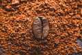 Coffee bean on heap of ground coffee - PhotoDune Item for Sale
