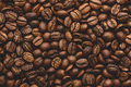 Fresh roasted coffee beans - PhotoDune Item for Sale