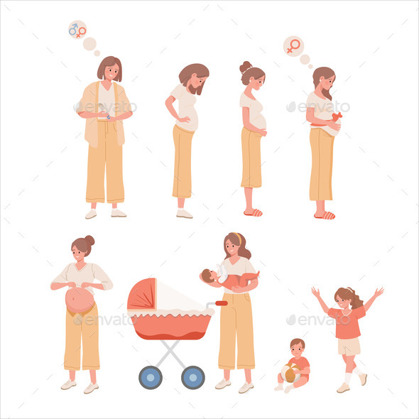 Stages of Pregnancy and Motherhood Vector Flat