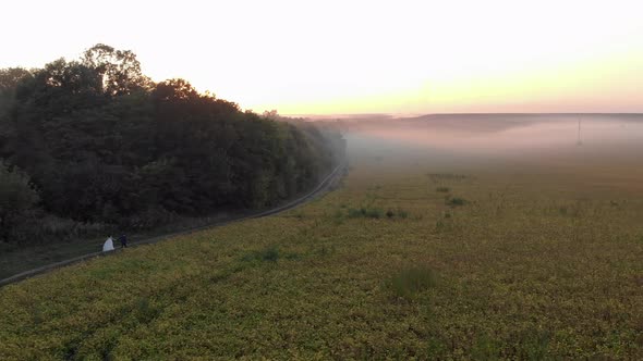 Field in the Evening Fog at Sunset. Two Newlyweds Are Walking Near the Field. Pink Sun Rays