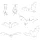 Vector Set of Black Sketch Bats - GraphicRiver Item for Sale