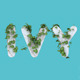 Growing Ivy Letters - VideoHive Item for Sale
