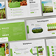 Tirisia - Agriculture Keynote Template - GraphicRiver Item for Sale