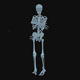 Skeleton Dance Party - VideoHive Item for Sale