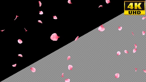 Falling Pink Petals On Alpha Channel Loops V1 alt