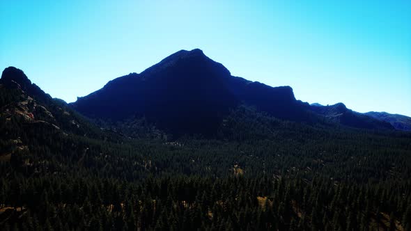 Panorama of Cone Forest at Mountains