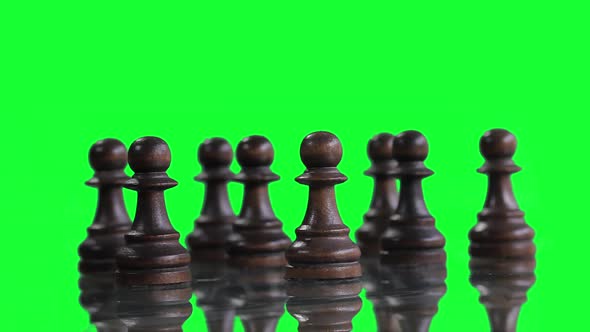 Black Pawns over Green Screen.
