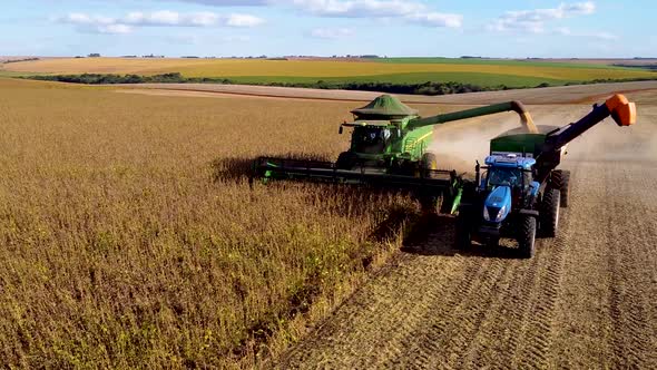 Soybean Harvester Dumping Seeds Pan