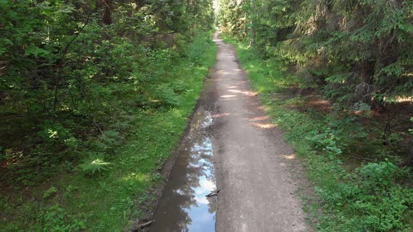 Young Cyclist Riding on a Nice Road