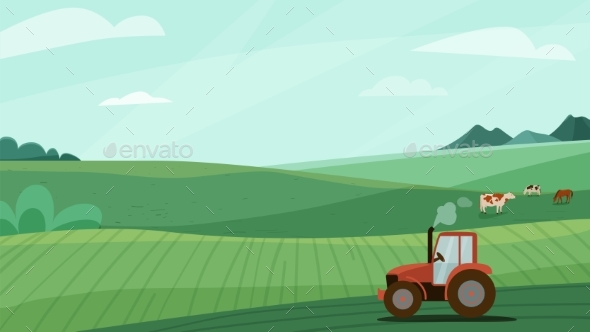 Farm Landscape Vector Illustration with Green